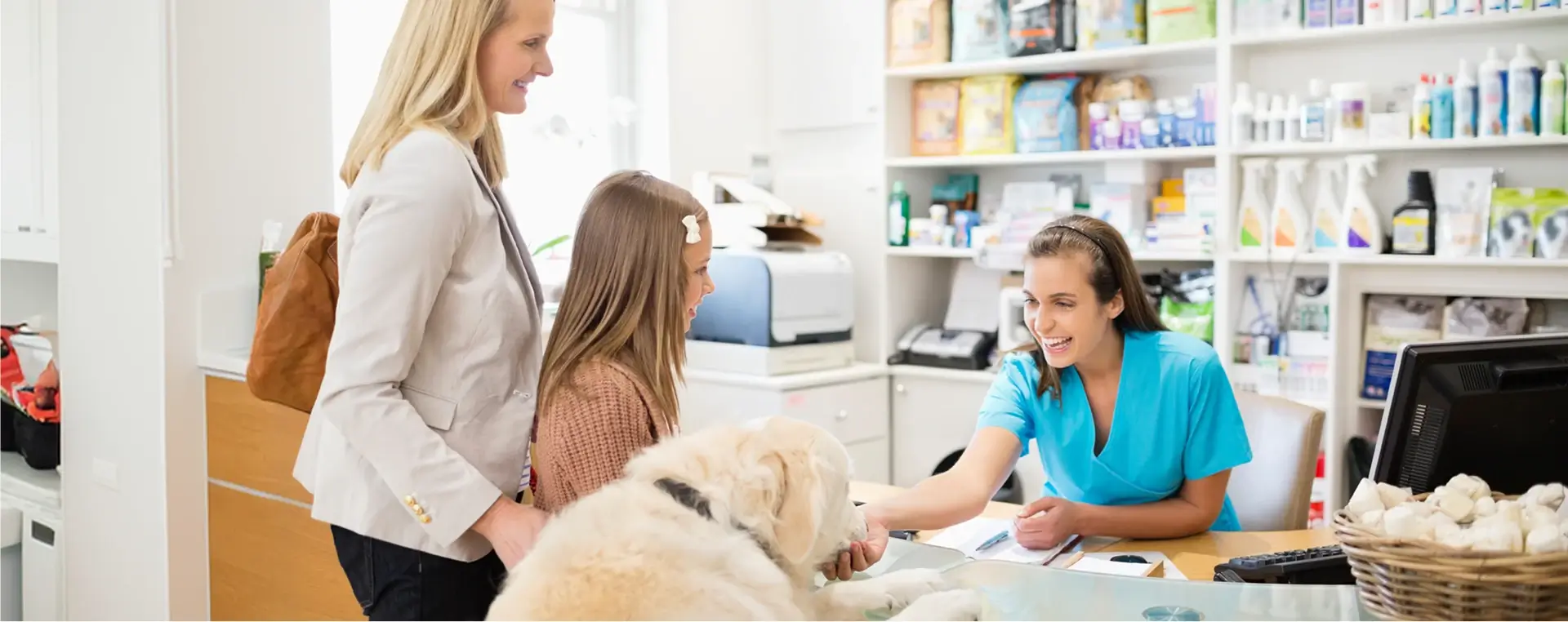 Dog at vet counter